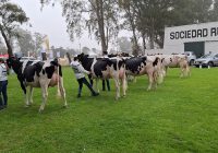 TodoLáctea 2026 se muda a San Francisco, confirma fecha y presenta un logo que apunta a la sostenibilidad TodoLáctea 2026 se muda a San Francisco, confirma fecha y presenta un logo que apunta a la sostenibilidad