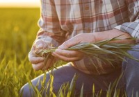 Se viene el 1° Congreso de Biológicos del Centro-Norte Argentino Se viene el 1° Congreso de Biológicos del Centro-Norte Argentino