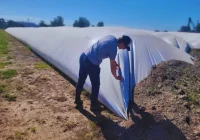 Monitoreo inteligente para preservar la calidad de los granos Monitoreo inteligente para preservar la calidad de los granos