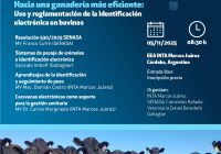 Hacia una ganadería más eficiente: Uso y reglamentación de la identificación electrónica en bovinos