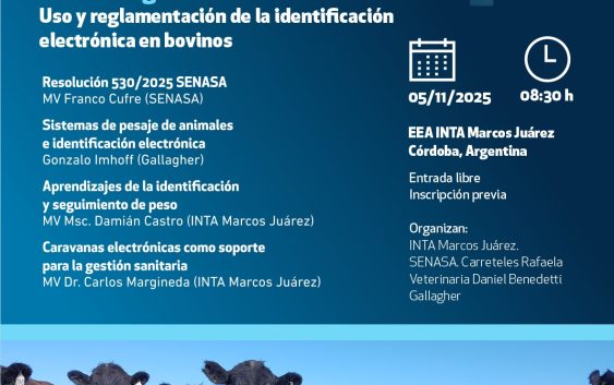 Hacia una ganadería más eficiente: Uso y reglamentación de la identificación electrónica en bovinos