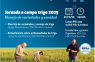 JORNADA A CAMPO TRIGO 2025 – MANEJO DE VARIEDADES Y SANIDAD