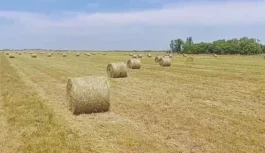 Contratistas Forrajeros celebraron el crecimiento del Congreso Argentino de Forrajes