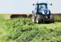 Córdoba será sede del 2° Congreso Argentino de Forrajes en 2026