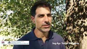 Los profesionales del agro – Año II – n° 19 – Cultivos de cobertura