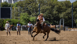 Nuestros Caballos: el gran encuentro del mundo ecuestre vuelve a La Rural