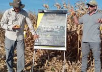 ”CAMPO LÍDER” – EL POTENCIAL DE NUEVOS HÍBRIDOS Y CULTIVOS ESTRATÉGICOS PARA LA CAMPAÑA AGRÍCOLA