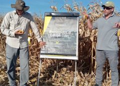”CAMPO LÍDER” – EL POTENCIAL DE NUEVOS HÍBRIDOS Y CULTIVOS ESTRATÉGICOS PARA LA CAMPAÑA AGRÍCOLA