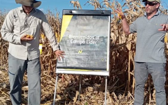 ”CAMPO LÍDER” – EL POTENCIAL DE NUEVOS HÍBRIDOS Y CULTIVOS ESTRATÉGICOS PARA LA CAMPAÑA AGRÍCOLA