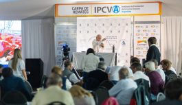 Una intensa agenda de remates ganaderos inicia el lunes en el marco de Expoagro