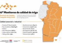 10° Monitoreo de calidad de trigo