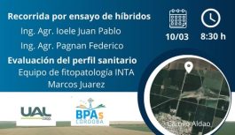 RECORRIDO por ENSAYOS de HÍBRIDOS DE MAÍZ en CAMILO ALDAO