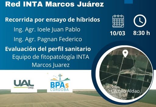 RECORRIDO por ENSAYOS de HÍBRIDOS DE MAÍZ en CAMILO ALDAO