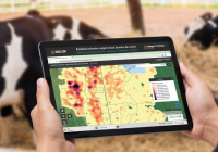 Ganadería. La producción de carne y leche de Córdoba tiene dos nuevas cartografías: qué datos muestran