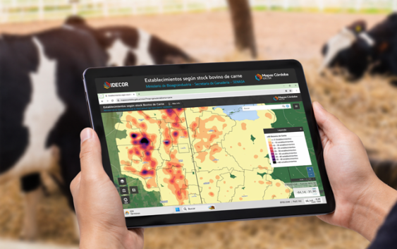 Ganadería. La producción de carne y leche de Córdoba tiene dos nuevas cartografías: qué datos muestran