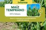 Informe Maíz Temprano – Campaña 2025/26