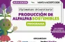 DIPLOMATURA UNIVERSITARIA EN PRODUCCIÓN DE ALFALFAS SOSTENIBLES: UNA EXPERIENCIA ÚNICA… ¡NUEVOS CONTENIDOS!