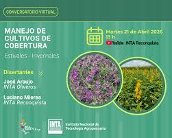 Conversatorio – Manejo de cultivos de cobertura