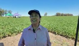 Clima y decisiones de manejo: lo que dejó la campaña agrícola en Río IV