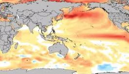 El Niño ya tiene una importante probabilidad de ocurrencia y un fenómeno clave se repitió por quinto mes