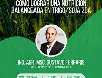 Del suelo al grano: cómo lograr una nutrición balanceada en trigo/soja 2da