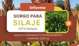 ¿Qué híbridos de sorgo silero se destacaron esta campaña? ¿Qué híbridos de sorgo silero se destacaron esta campaña?