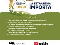 Jornada de actualización técnica de Trigo