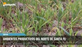 Ambientes productivos del norte de Santa Fe