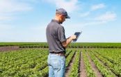 Conectividad: La transformando la producción, los servicios y la vida en el campo