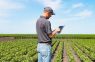 Conectividad: La transformando la producción, los servicios y la vida en el campo
