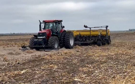 La siembra de maíz temprano toma ritmo tras una semana sin lluvias