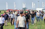 ExpoAlfa Córdoba 2026 pondrá el eje en la industrialización de la alfalfa y sus beneficios estratégicos para la cadena láctea y ganadera