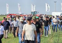 ExpoAlfa Córdoba 2026 pondrá el eje en la industrialización de la alfalfa y sus beneficios estratégicos para la cadena láctea y ganadera ExpoAlfa Córdoba 2026 pondrá el eje en la industrialización de la alfalfa y sus beneficios estratégicos para la cadena láctea y ganadera
