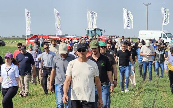 ExpoAlfa Córdoba 2026 pondrá el eje en la industrialización de la alfalfa y sus beneficios estratégicos para la cadena láctea y ganadera