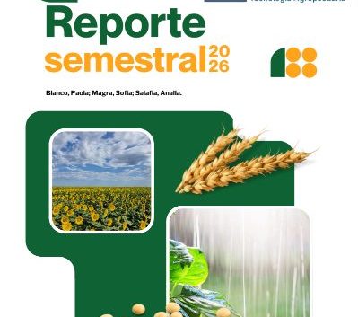 Reporte semestral 2026