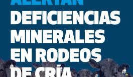 DAÑO MUSCULAR Y MUERTE SÚBITA: ALERTAN POR DEFICIENCIAS MINERALES EN RODEOS DE CRÍA. DAÑO MUSCULAR Y MUERTE SÚBITA: ALERTAN POR DEFICIENCIAS MINERALES EN RODEOS DE CRÍA.