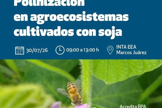JORNADA DE “POLINIZACIÓN EN AGROECOSISTEMAS CULTIVADOS CON SOJA”