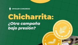 Una nueva campaña se encuentra a la vuelta de la esquina… ¿cuáles son las mejores estrategias de manejo para D. maidis? Una nueva campaña se encuentra a la vuelta de la esquina… ¿cuáles son las mejores estrategias de manejo para D. maidis?
