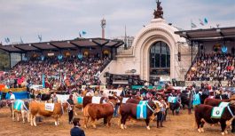 Exposición Rural de Palermo 2026. Se dió a conocer el programa de la tradicional megamuestra