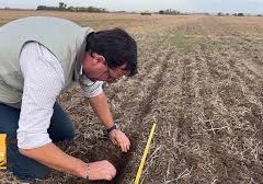 Ing. Claudio Del Vecchio – Agroprofesional Consultora Agropecuaria