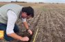 Ing. Claudio Del Vecchio – Agroprofesional Consultora Agropecuaria