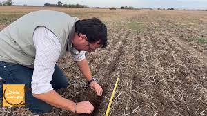 Ing. Claudio Del Vecchio – Agroprofesional Consultora Agropecuaria