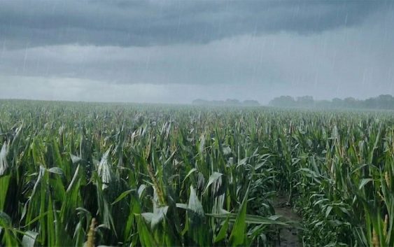 El niño 2026: qué se espera y cómo prepararse