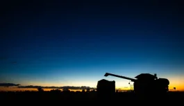 Los cambios que impactan al precio de la soja y abren nuevas oportunidades para Argentina