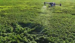 Los drones aplicadores amplían las posibilidades de manejo en los cultivos Los drones aplicadores amplían las posibilidades de manejo en los cultivos