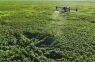 Los drones aplicadores amplían las posibilidades de manejo en los cultivos
