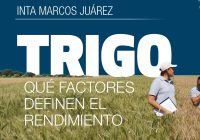 Trigo: Claves de manejo para maximizar tu rinde Trigo: Claves de manejo para maximizar tu rinde
