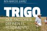 Trigo: Claves de manejo para maximizar tu rinde