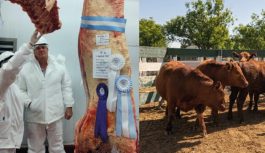 BLOCK TEST JESÚS MARÍA 2026: ABREN LAS INSCRIPCIONES PARA PRODUCTORES DE TODO EL PAÍS BLOCK TEST JESÚS MARÍA 2026: ABREN LAS INSCRIPCIONES PARA PRODUCTORES DE TODO EL PAÍS