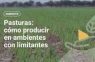 Pasturas, cómo producir en ambientes con limitantes